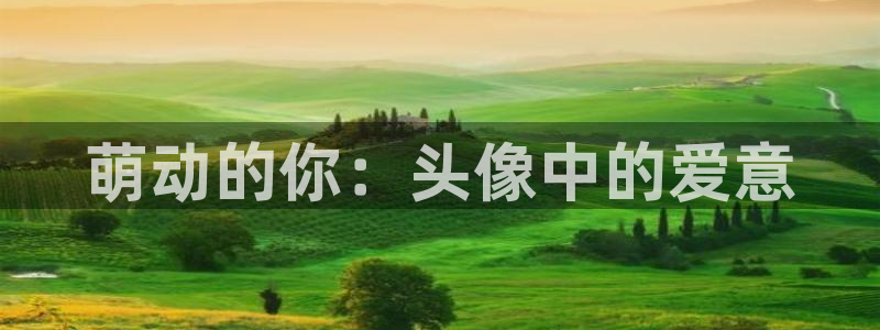 age动漫网上看：萌动的你：头像中的爱意