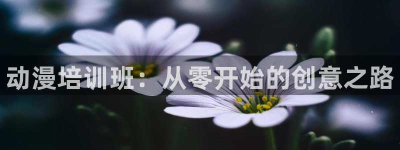age动漫官网网址：动漫培训班：从零开始的创意之路