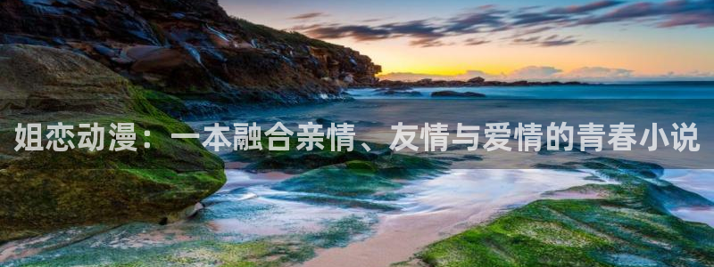 在线动画动漫下载age动漫：姐恋动漫：一本融合亲情、友情与爱情的青春小说