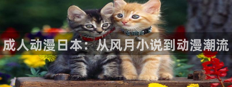 age樱花动漫：成人动漫日本：从风月小说到动漫潮流