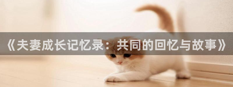 age动漫网官网入口：《夫妻成长记忆录：共同的回忆与故事》