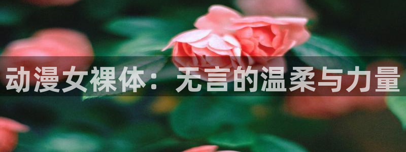 age动漫下载：动漫女裸体：无言的温柔与力量
