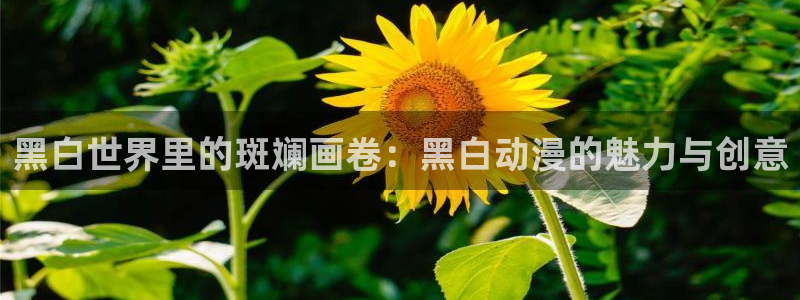 age动漫网下载：黑白世界里的斑斓画卷：黑白动漫的魅力与创意