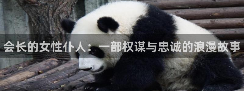 age动漫官网入口老版本：会长的女性仆人：一部权谋与忠诚的浪漫故事