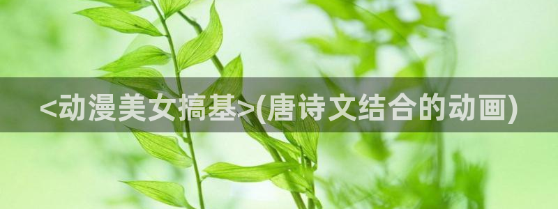 age动漫樱花：<动漫美女搞基>(唐诗文结合的动画)
