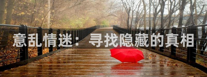 在线动画动漫下载age动漫：意乱情迷：寻找隐藏的真相