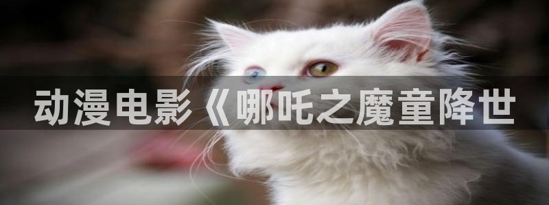 colamanage漫画官网：动漫电影《哪吒之魔童降世