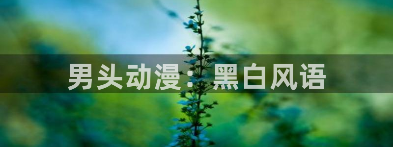 age樱花动漫：男头动漫：黑白风语