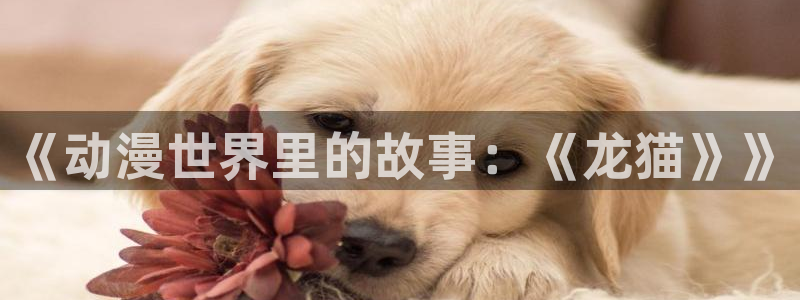 age动漫官网版入口：《动漫世界里的故事：《龙猫》》