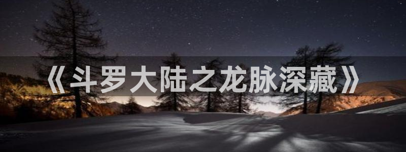 下载age动漫：《斗罗大陆之龙脉深藏》