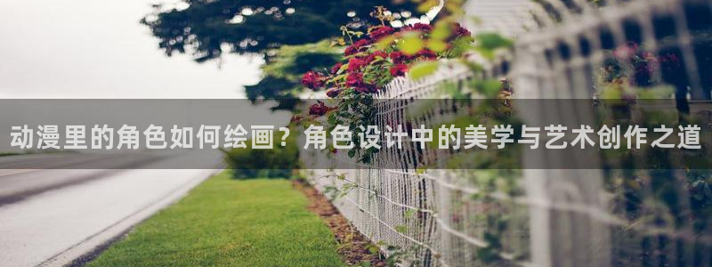 age动漫官网网址：动漫里的角色如何绘画？角色设计中的美学与艺术创作之道