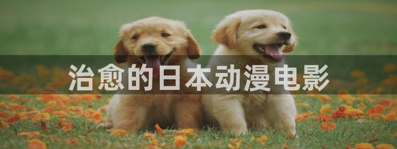 age动漫专注动漫的门户网站：治愈的日本动漫电影