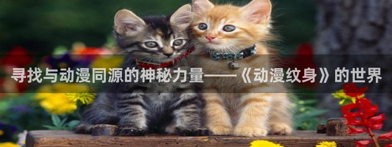 age专注动漫的门户网站：寻找与动漫同源的神秘力量——《动漫纹身》的世界