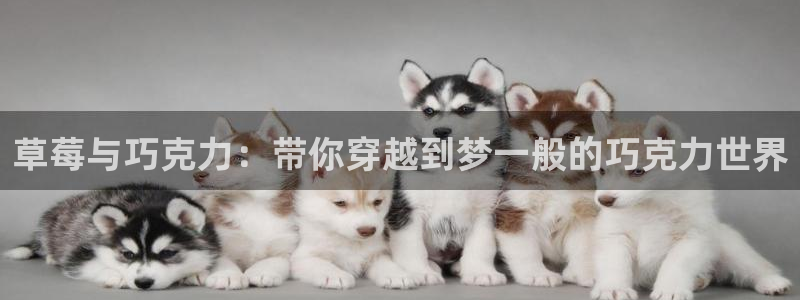 colamanage漫画官网：草莓与巧克力：带你穿越到梦一般的巧克力世界