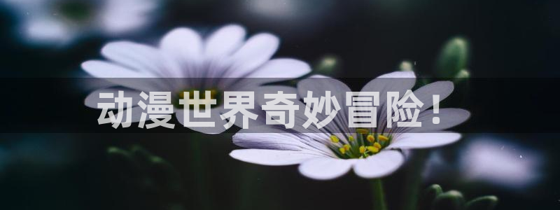 在线动画动漫下载age动漫：动漫世界奇妙冒险！